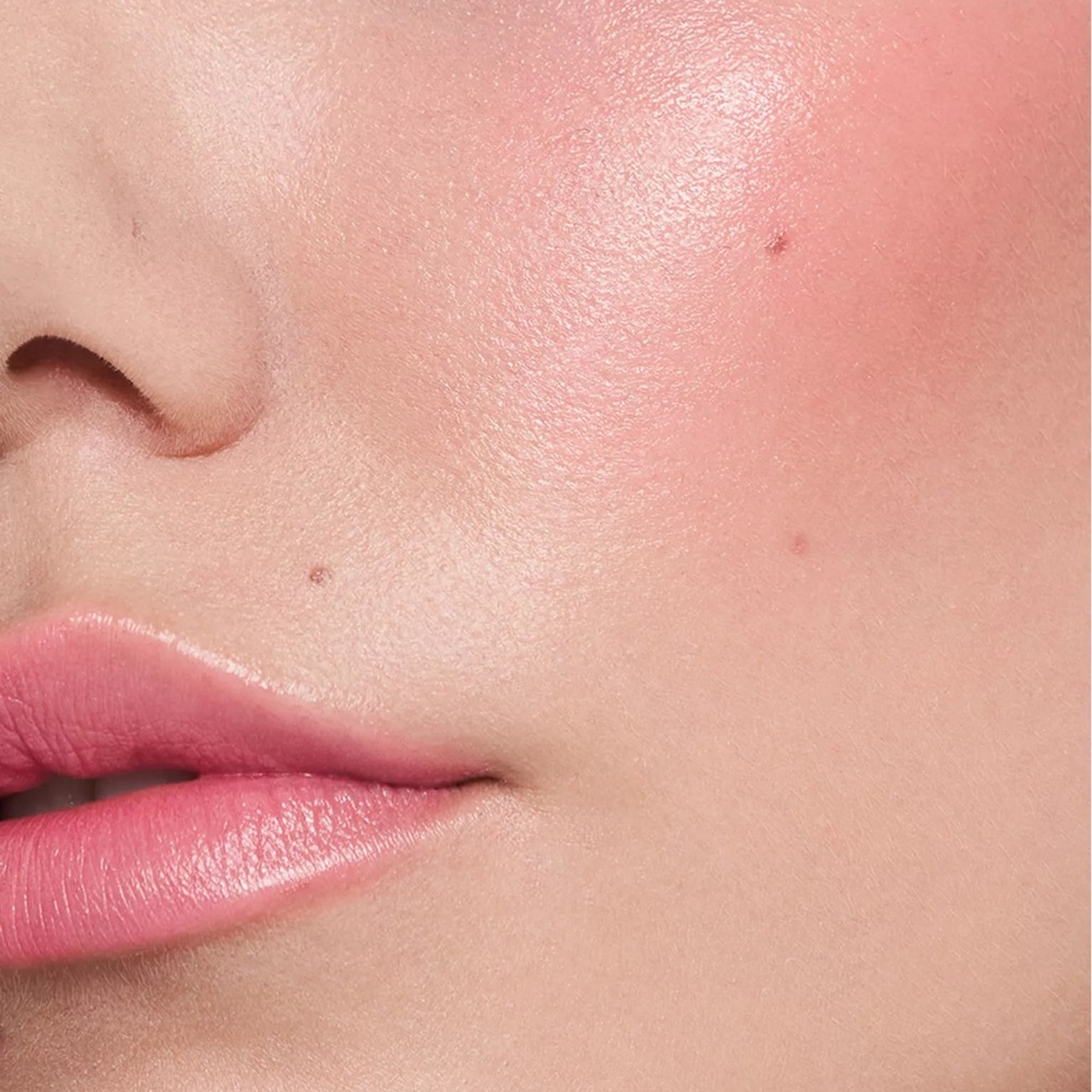 Stila COMPLETE HARMONY Lip+Cheek Stick in SHEER PETUNIA F/S NEW IN BOX! - Picture 4 of 9